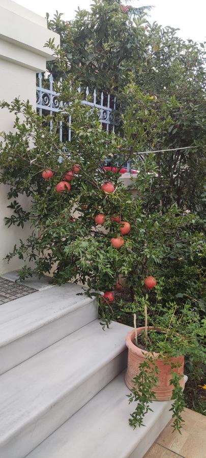 Dora'S Home With Garden 볼로스 외부 사진